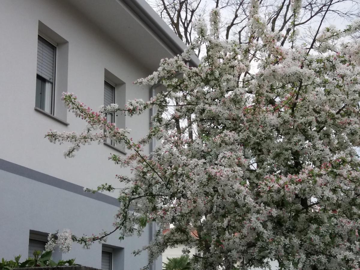 Civico 51 B&B Udine Exterior photo